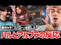 「〇〇と組み合わせたら強そうだな」ハルとアルブラが2人で新キャラを使って色々試して出した答えは..!?【日本語字幕】【Apex】