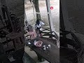 Huge King Cobra Attacks Woman While She Cooks In Thailand рџђЌ Snake Shorts Huge King Cobra Attacks Woman While She Cooks In Thailand рџђЌ Snake Shorts