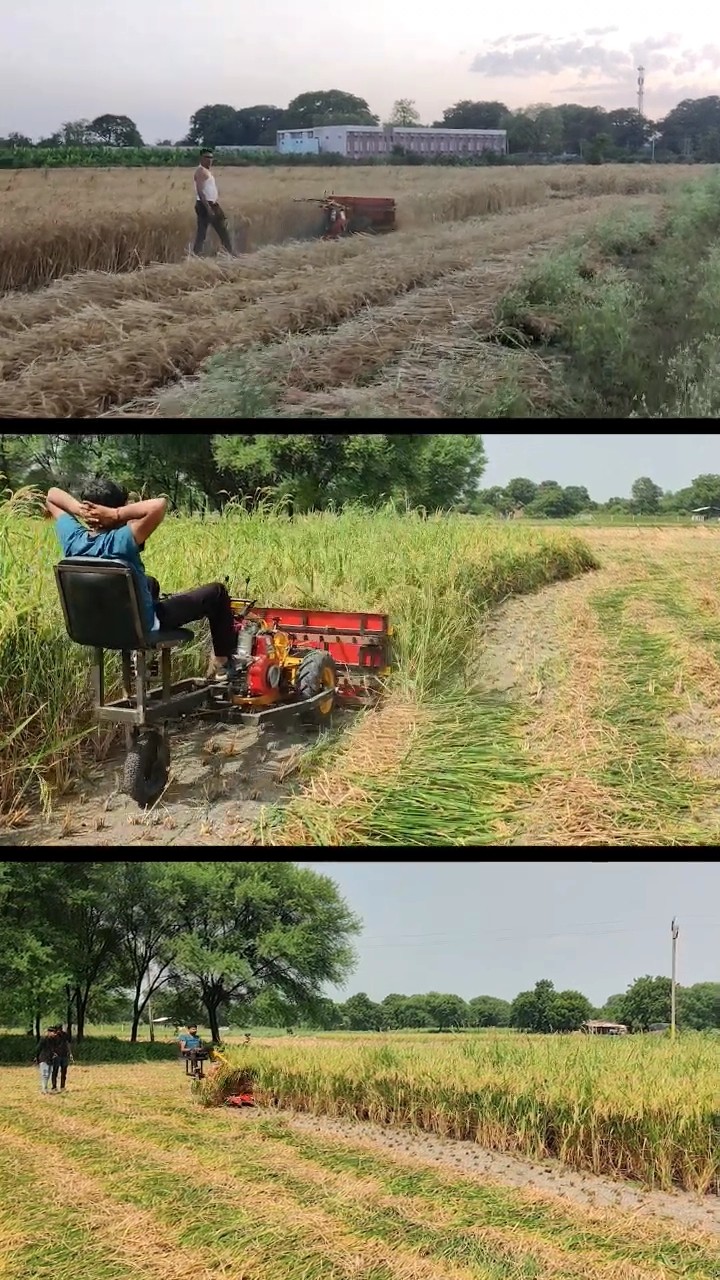 Sunidhi reaper short video thumbnail