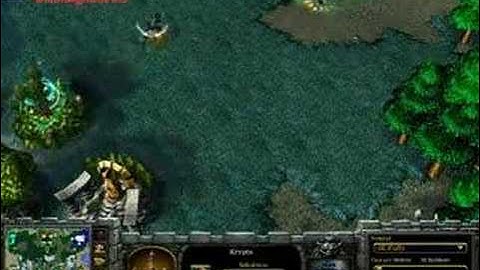 WARCRAFT 3 : WAY TO OWNAGE