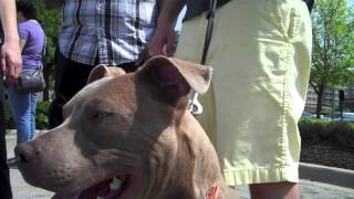 18th District Adoption EVENT! THANK YOU