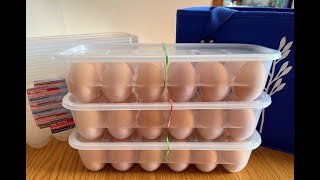 Product Review:  Essentials Egg Storage Containers (Plastic Egg Cartons)