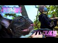 4Kフレブル旅【ゆるキャン△巡り堂ヶ島】自然の芸術をゆるく楽しむ一匹と二人
