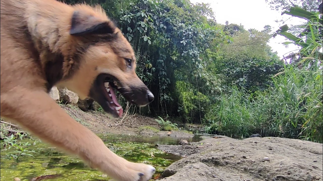 WALKING IN RIVERSIDE