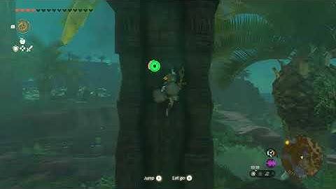 [DAY 762] of finding one korok seed in TotK everyday until we get them all