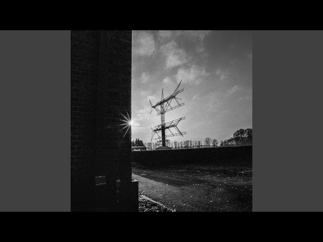 Signal II