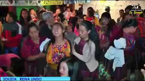 Reyna lindo Morales.algo esta cayendo