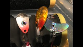 Catch more walleyes with nightcrawlers! Tips for rigging nightcrawlers on Spinner rigs for walleyes!