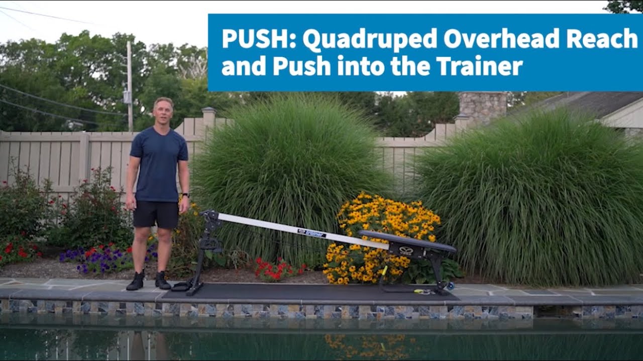 Vasa Trainer Pro -  Quadruped Overhead Reach