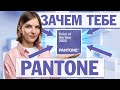 Главный цвет 2022 года и зачем тебе это знать. Panton color trends.