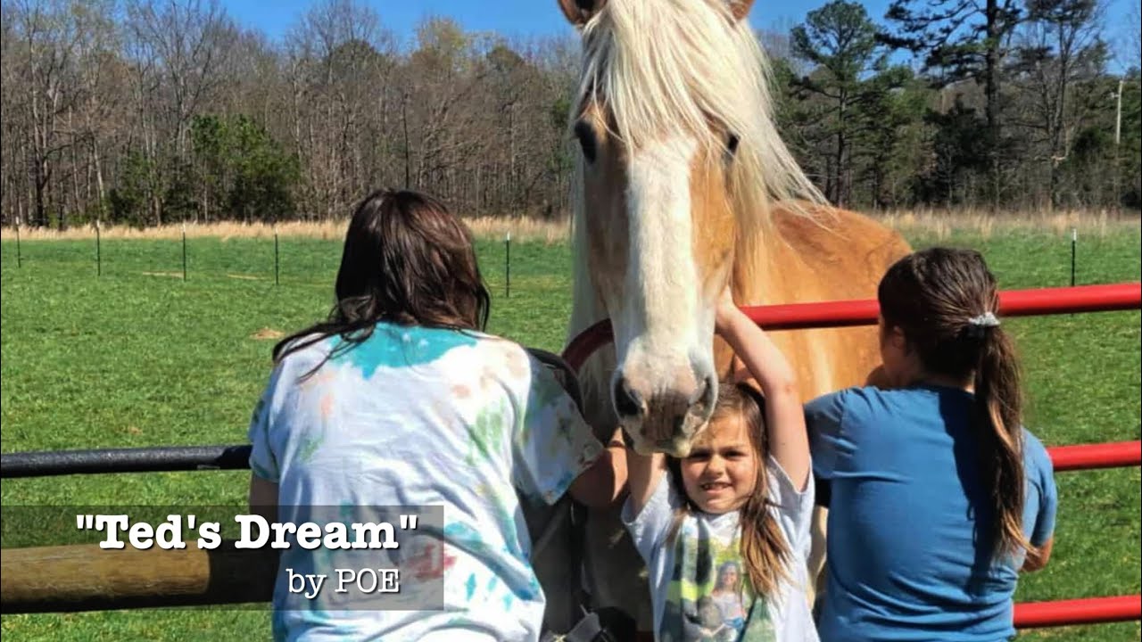 Ted's Dream   Happy Birthday Janice and thank you Nature Connection and Horse Rescue Alliance  Broad
