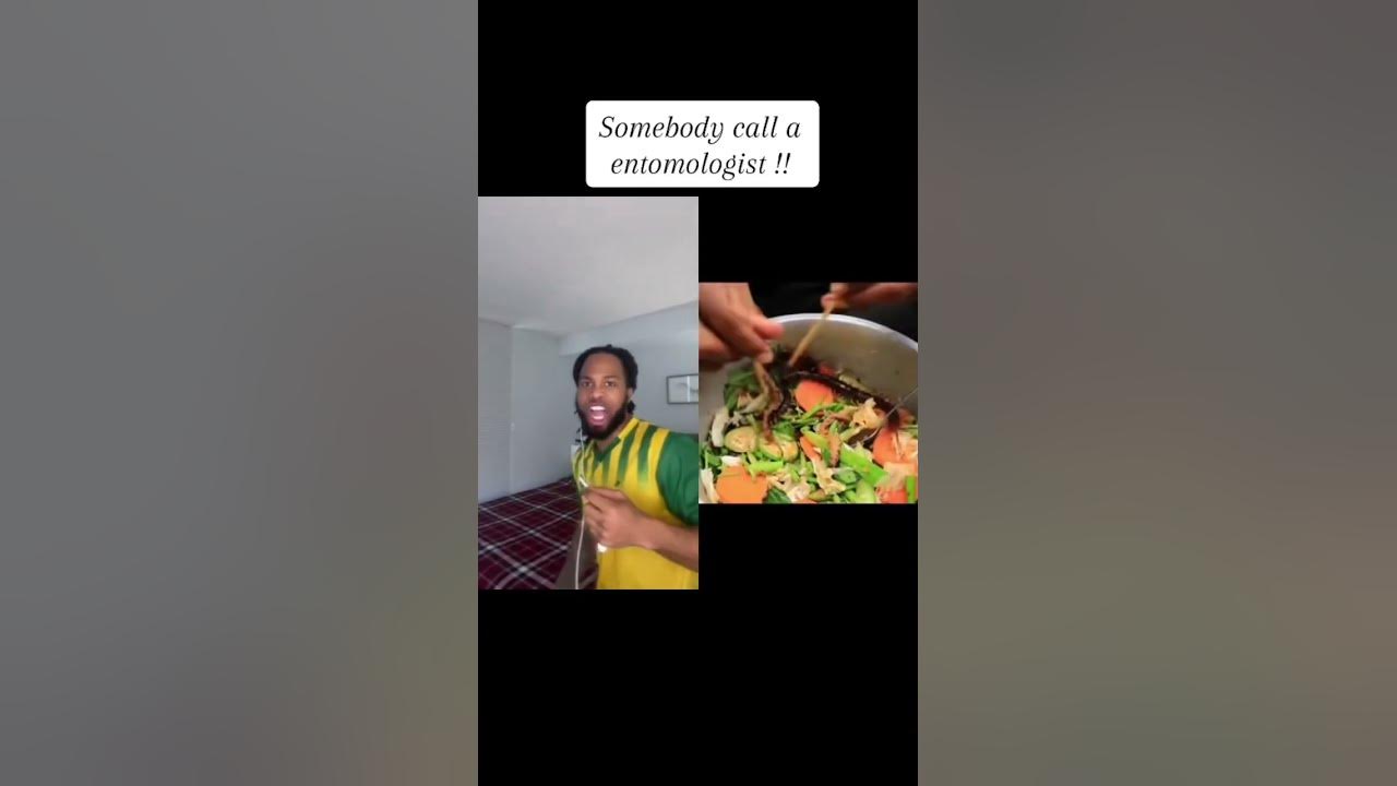 Lmfao what is going on !! #fyp #food #reactionvideo #wow - YouTube