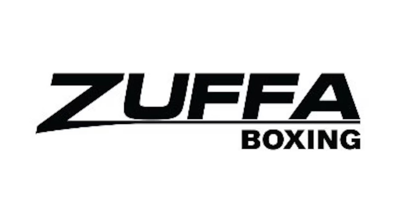 Zuffa Boxing 1 Review
