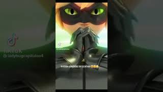 Chat Con El Miraculous Del Conejo