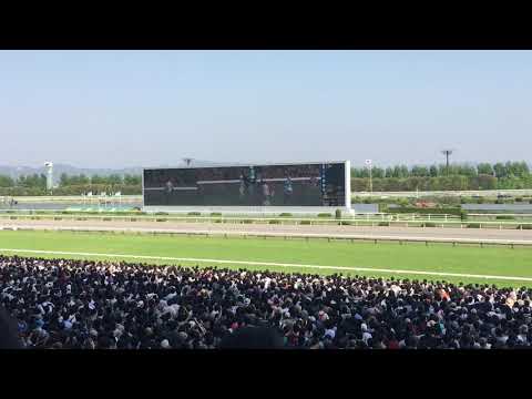 天皇賞春 ファンファーレ