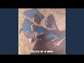 Mick Jenkins - Consensual Seduction (Feat. Corinne Bailey Rae) [Official Audio]