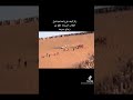 تفحيط رالي ودان الله يبارك على الشباب ليبيا زليتن ودان