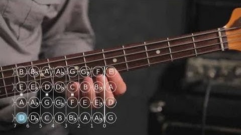 How to Play a D Minor Scale | Bass Guitar