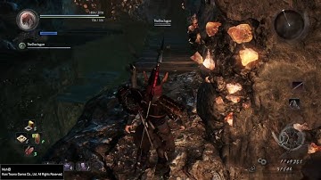 Nioh Corpse Bug