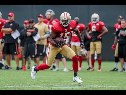 49ers roster watch: San Francisco should keep two quarterbacks, Brian Hoyer ...