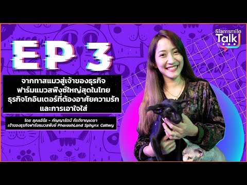 จากทาสแมวสู่เจ้าของฟาร์มแมวสฟิงซ์ที่ใหญ่ที่สุดในไทย EP. 3
