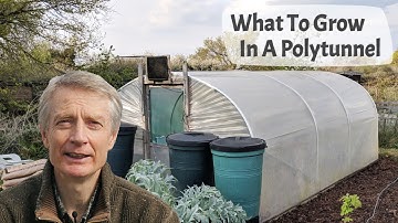 What To Grow In A Polytunnel - A complete introduction to polytunnel growing and plants to grow