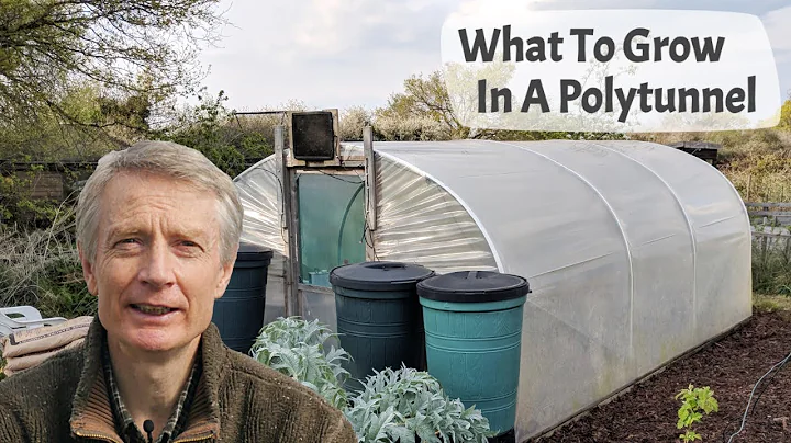 What To Grow In A Polytunnel - A complete introduction to polytunnel growing and plants to grow