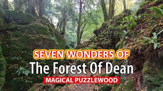 Puzzlewood - Seven Wonders Of The Forest Of Dean Episode 4