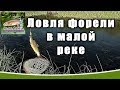 Ловля форели в малой реке. Рыбалка в Ленинградской области. (ИЮНЬ 2019)