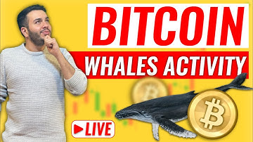 Bitcoin On Chain Analysis: Following Whales, WHAT ARE THE WHALES DOING NOW??