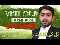 TILL ki kasht | visit our farmhouse | zameendar ki kaha ni