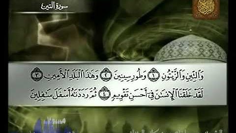 سورة التين الشيخ مصطفى بوعكاز الجزائري