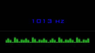 ⒽⓏ| 1013 hz Pure Tone Frequency| NO Music , For Meditation, Testing. Black Screen