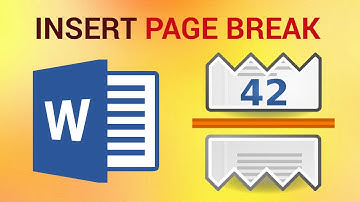 How to Insert and Remove a Page Break in Word 2016