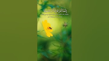 إنَّمَا أَمَرَهُ إذَا أَرَادَ شَيْئًا 💛⚘️حالات واتس اب دينية مؤثرة 💙تلاوة خاشعة Quran status ♥️
