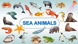water animals/ sea animals in English/ list of animals in English#animals #wateranimalsname