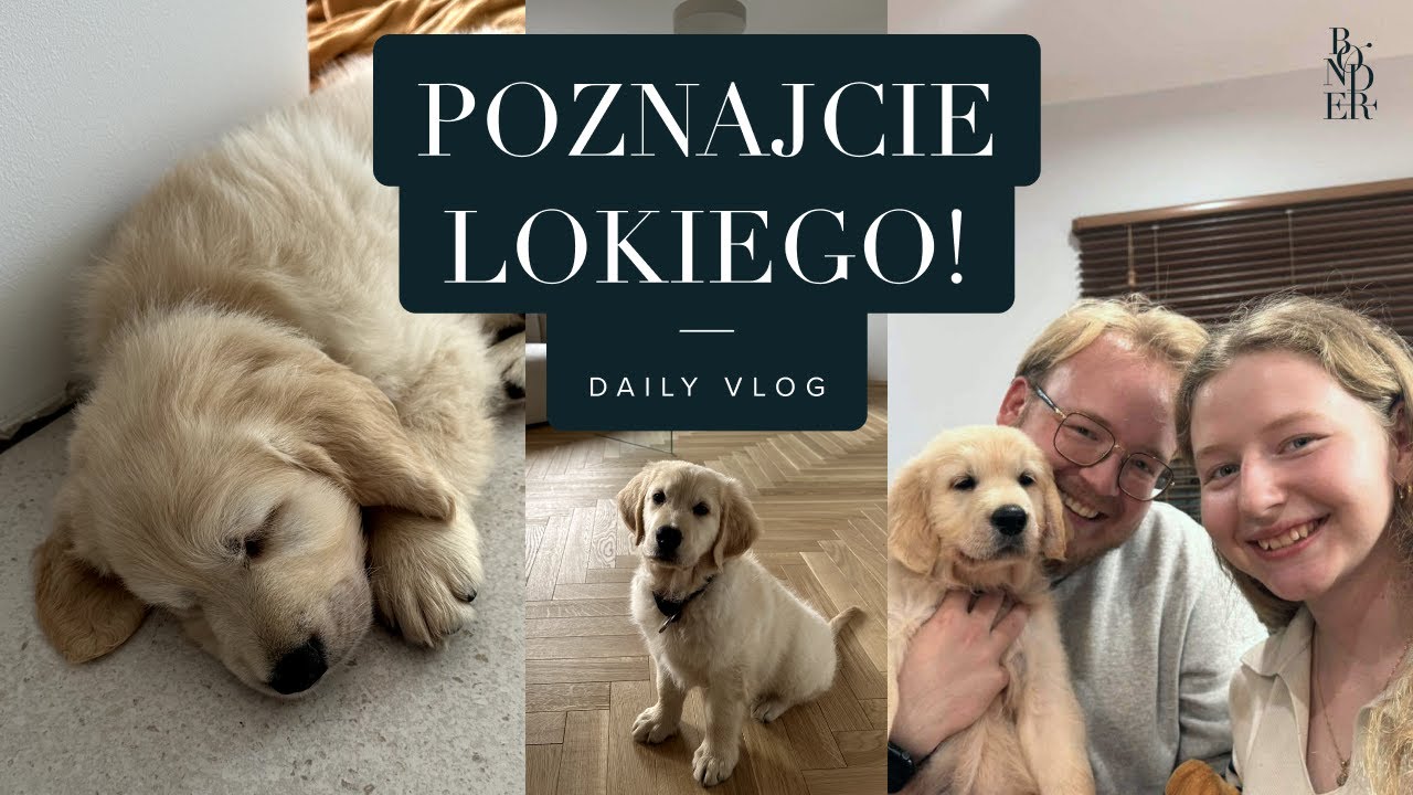 NOWY CZŁONEK rodziny 🐶 Poznajcie Lokiego! ❤️
