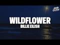 Billie Eilish - WILDFLOWER (LYRICS)