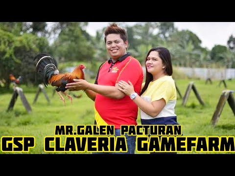 RAY HOSKINS GREY | GSP CLAVERIA Gamefarm in Claveria Philippines | Galen Pacturan