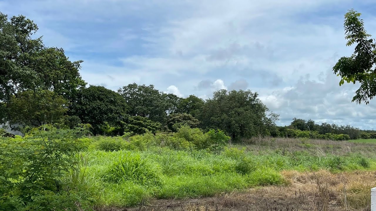 LOTE EN VENTA, COSTA RICA GUANACASTE YouTube