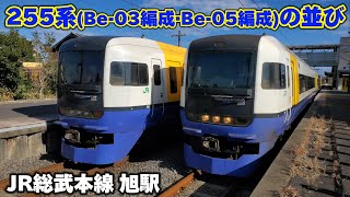 【4K60p】255系(Be-03編成·Be05編成)の並び JR総武本線旭駅にて