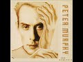 Peter Murphy Time Has Got Nothing To Do With 1988 mp3
