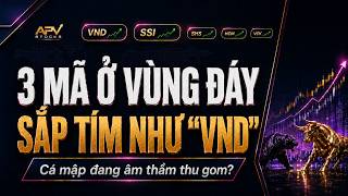 🔴 VND TĂNG TRẦN - 3 CỔ PHIẾU Ở VÙNG ĐÁY? ĐÁNH GIÁ DÒNG TIỀN THÔNG MINH?