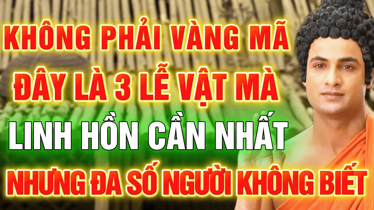 Lời Vàng Phật Dạy: Không Phải Vàng Mã, Người Đã Khuất Cần 3 Lễ Vật Này Mà Ít Ai Biết l Diệu Tâm Pháp
