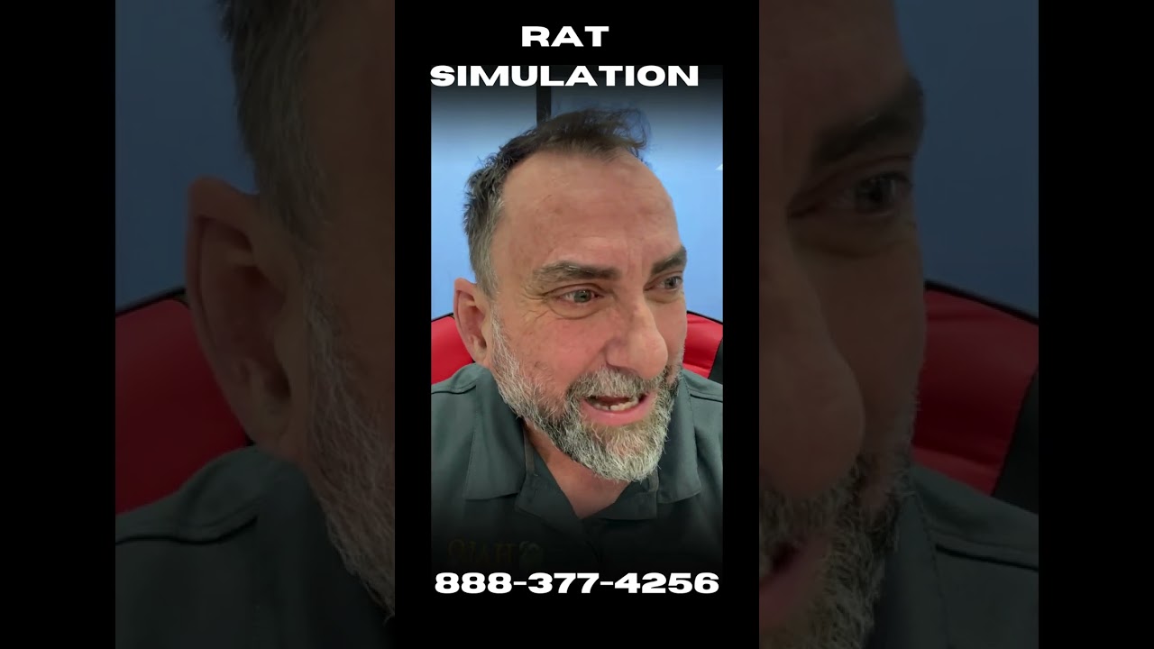 Rat Simulation: Welcome to the Furry Apocalypse