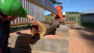 Small Logs on the Turbosawmill