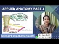 Applied Anatomy | DNB Theory Class | DNB OBGYN coaching All India chapter | Live Class