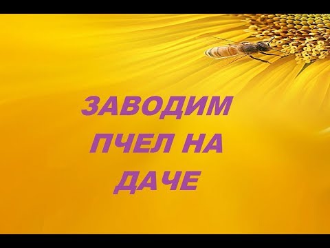 Пчеловодство Заводим пчел на даче