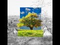 A Chance for Healing, 170 Years After a Lakota Massacre
