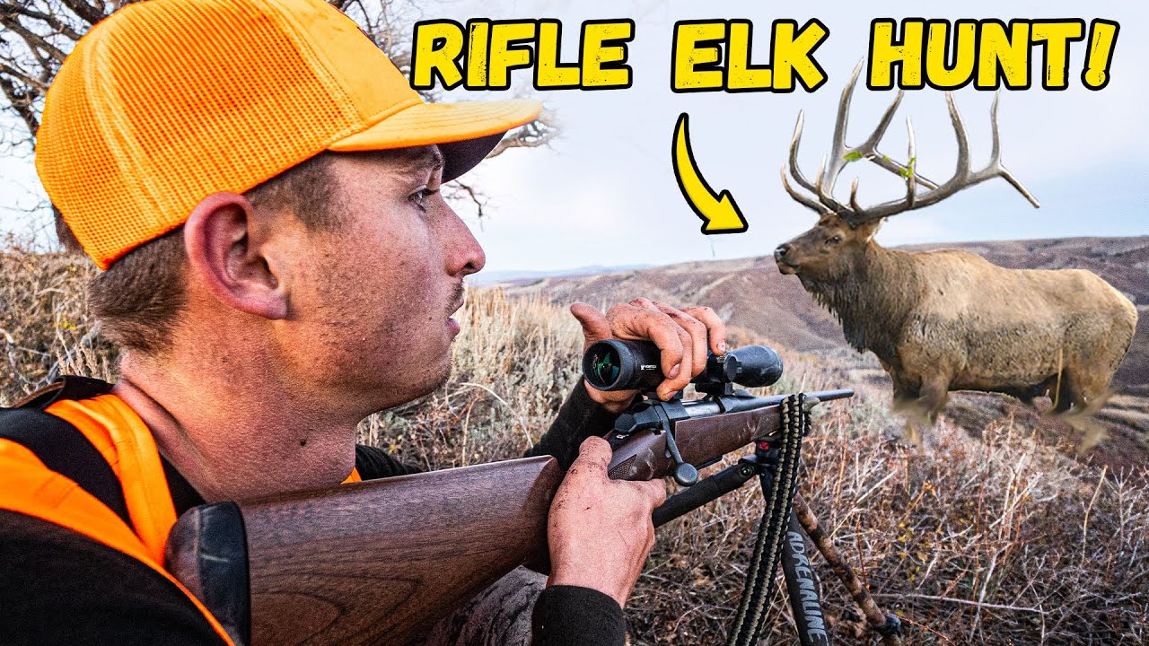 Bugling BULLS в ДЕНЬ ОТКРЫТИЯ! (Сезон стрельбы из винтовки в Колорадо!!)